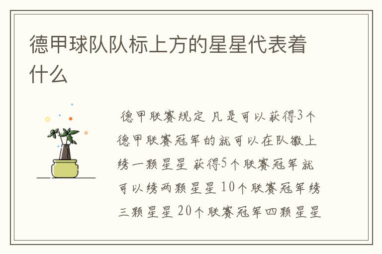 德甲球队队标上方的星星代表着什么
