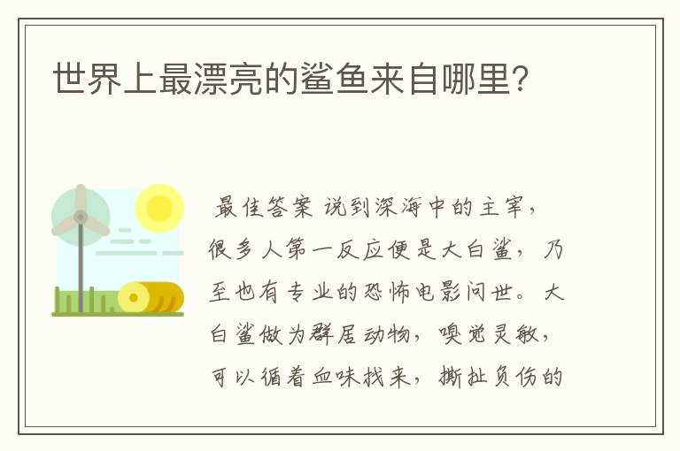 世界上最漂亮的鲨鱼来自哪里?