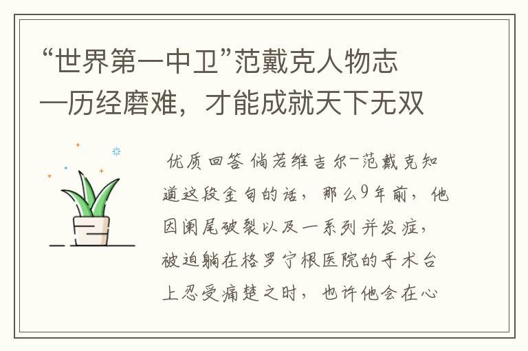 “世界第一中卫”范戴克人物志—历经磨难,才能成就天下无双