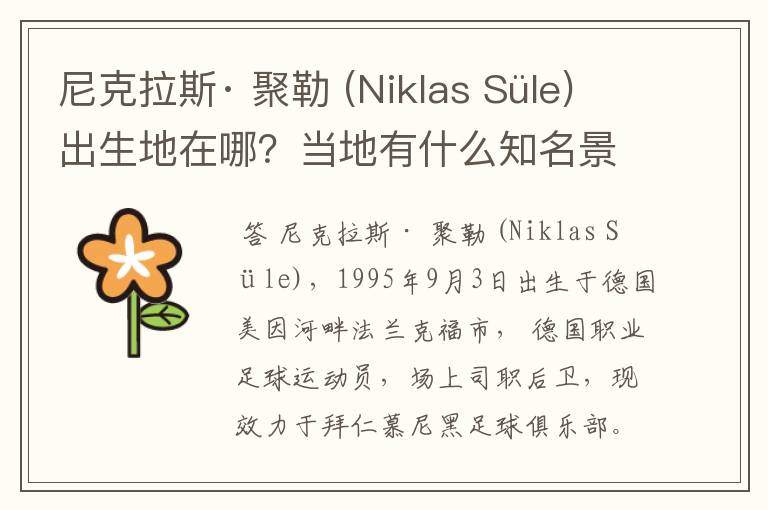 尼克拉斯· 聚勒 (Niklas Süle)出生地在哪?当地有什么知名景点?