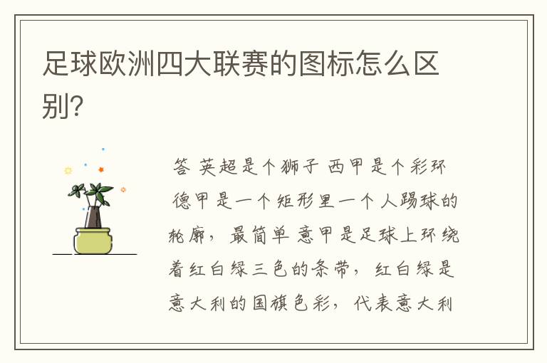 足球欧洲四大联赛的图标怎么区别?