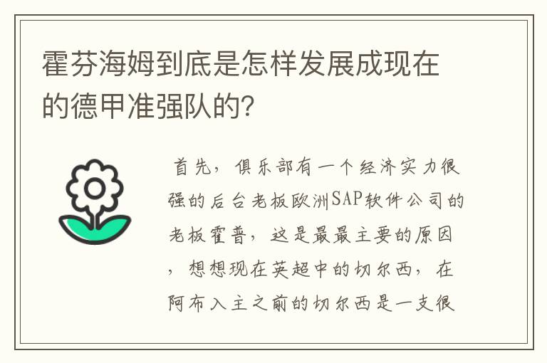 霍芬海姆到底是怎样发展成现在的德甲准强队的?