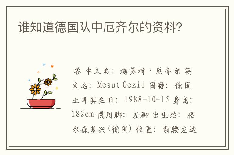 谁知道德国队中厄齐尔的资料?