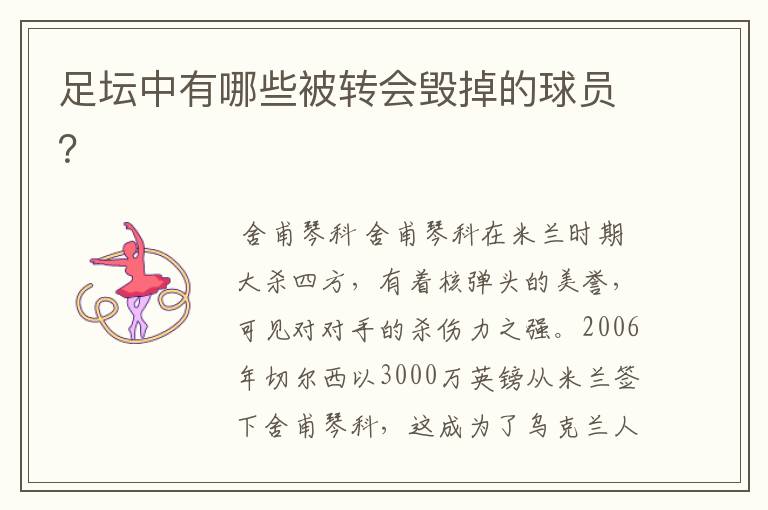 足坛中有哪些被转会毁掉的球员?