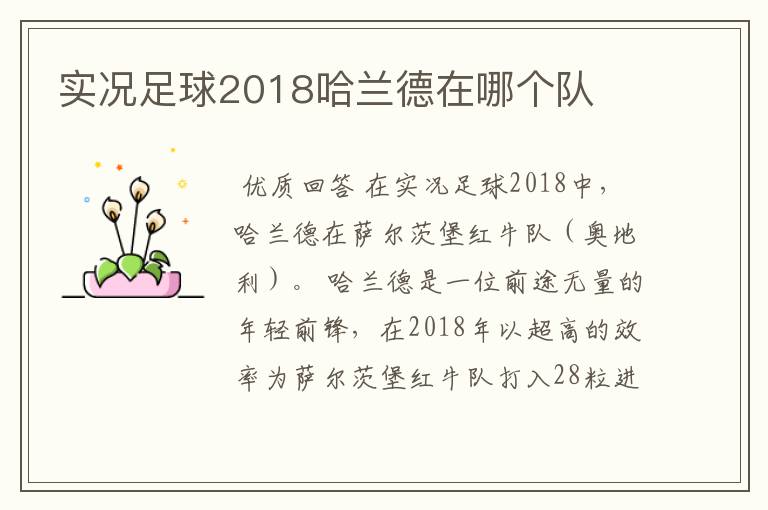 实况足球2018哈兰德在哪个队