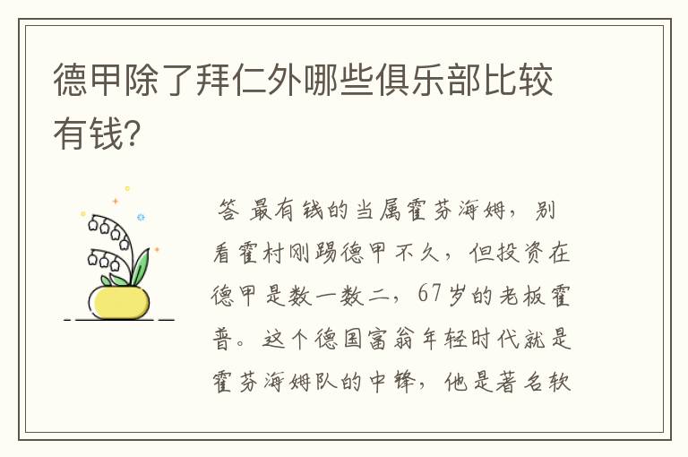 德甲除了拜仁外哪些俱乐部比较有钱?