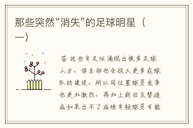 那些突然“消失”的足球明星（一）