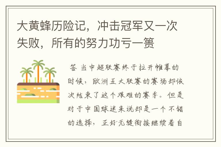 大黄蜂历险记,冲击冠军又一次失败,所有的努力功亏一篑