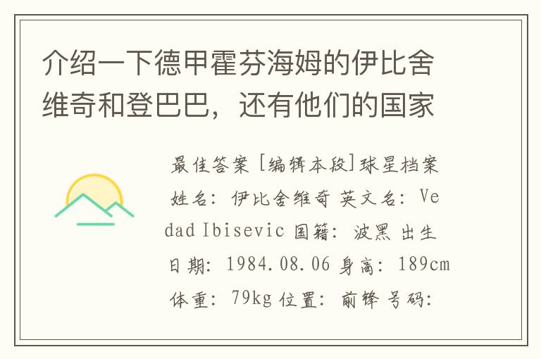 介绍一下德甲霍芬海姆的伊比舍维奇和登巴巴,还有他们的国家队履历