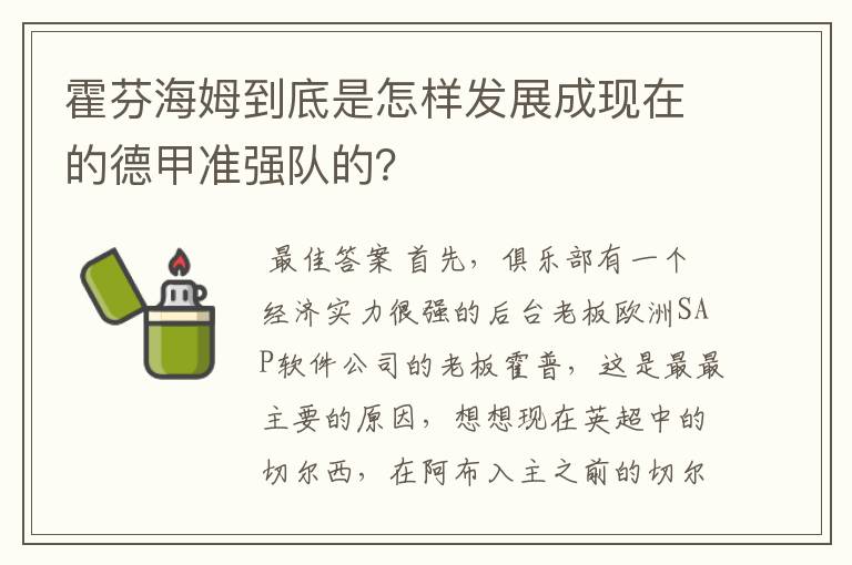 霍芬海姆到底是怎样发展成现在的德甲准强队的?