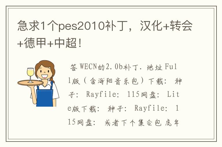 急求1个pes2010补丁,汉化+转会+德甲+中超!