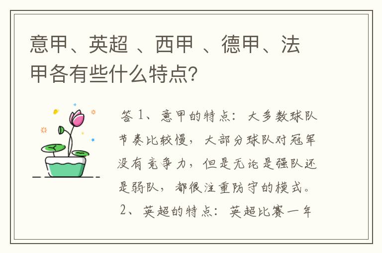 意甲、英超 、西甲 、德甲、法甲各有些什么特点?