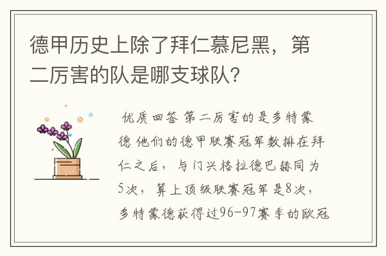 德甲历史上除了拜仁慕尼黑,第二厉害的队是哪支球队?