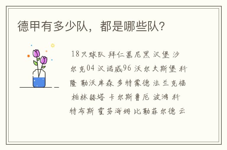 德甲有多少队,都是哪些队?