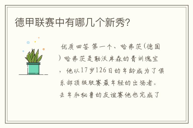 德甲联赛中有哪几个新秀?