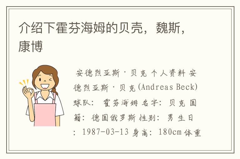 介绍下霍芬海姆的贝壳,魏斯,康博