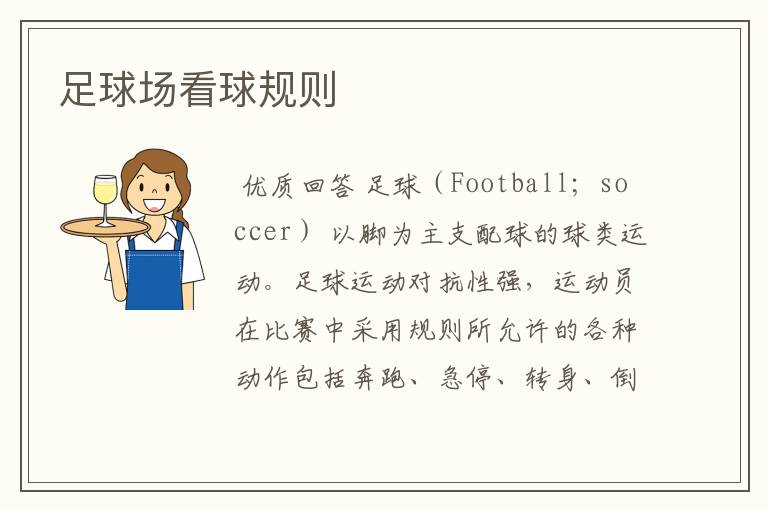 足球场看球规则