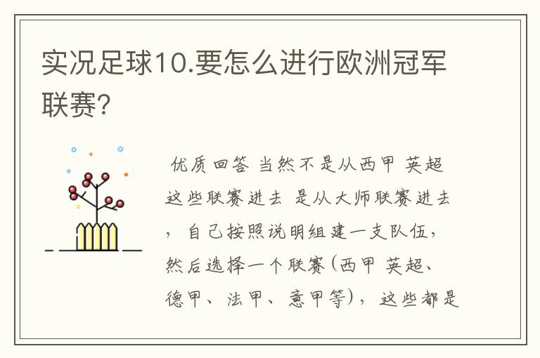 实况足球10.要怎么进行欧洲冠军联赛?
