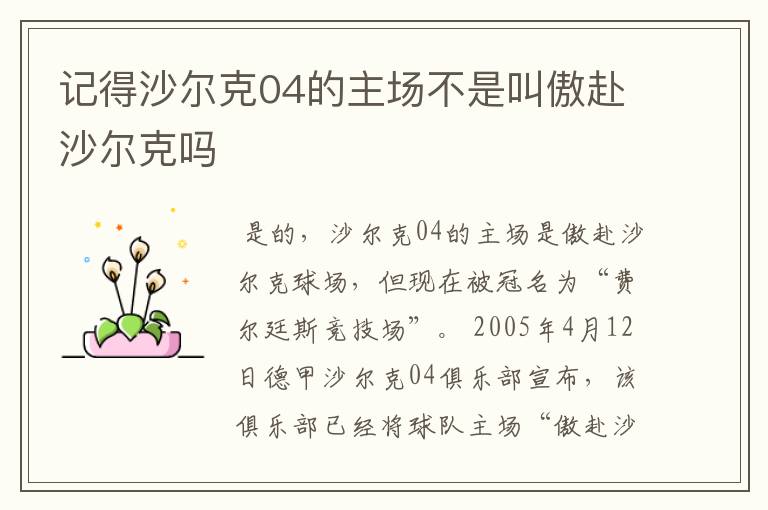 记得沙尔克04的主场不是叫傲赴沙尔克吗
