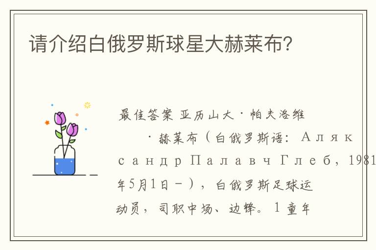 请介绍白俄罗斯球星大赫莱布?