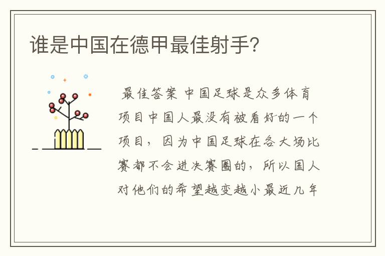 谁是中国在德甲最佳射手?
