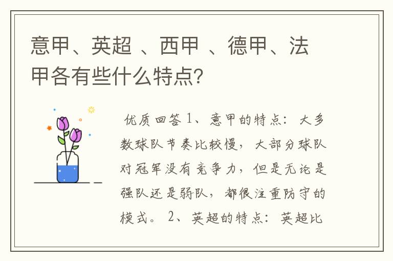 意甲、英超 、西甲 、德甲、法甲各有些什么特点?