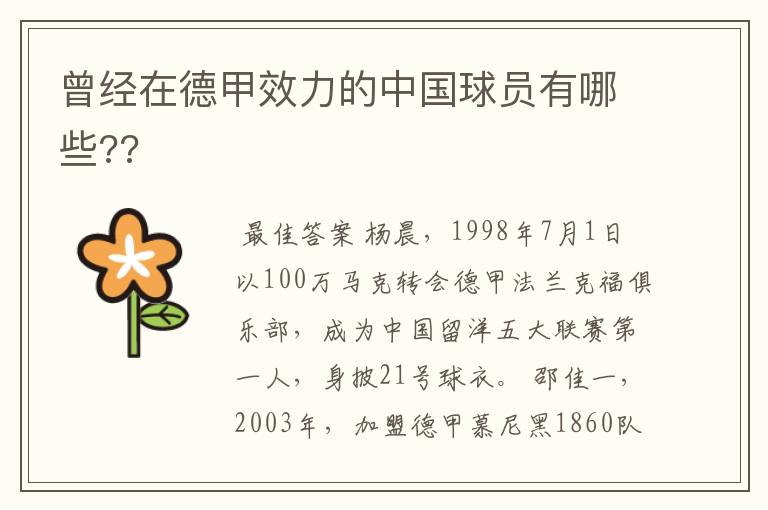 曾经在德甲效力的中国球员有哪些??