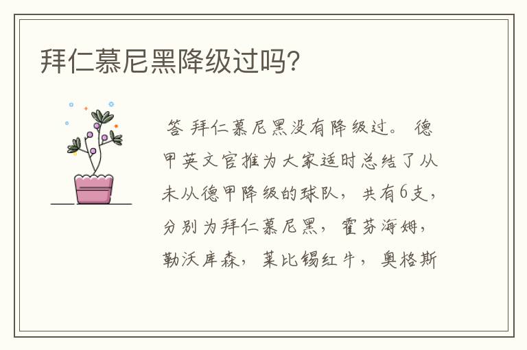 拜仁慕尼黑降级过吗?