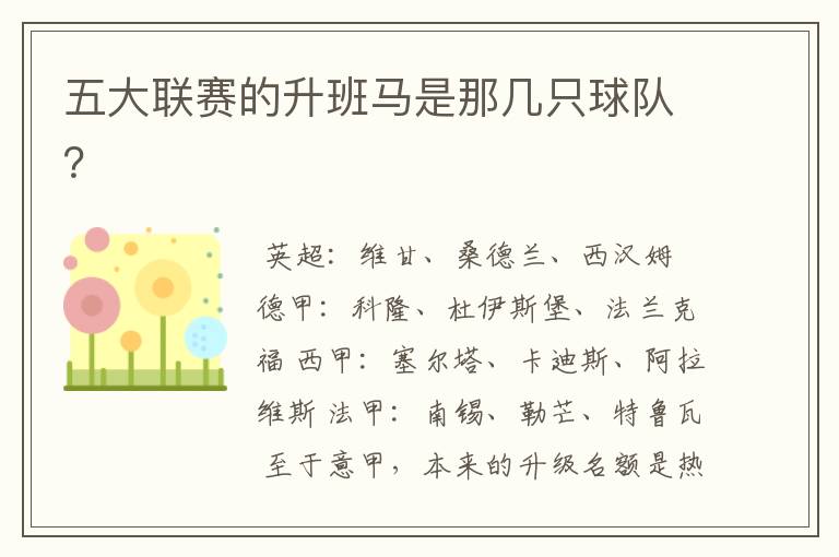 五大联赛的升班马是那几只球队?