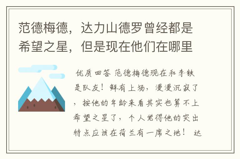 范德梅德,达力山德罗曾经都是希望之星,但是现在他们在哪里?