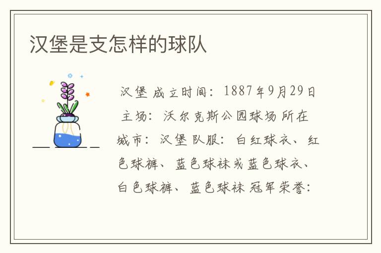汉堡是支怎样的球队