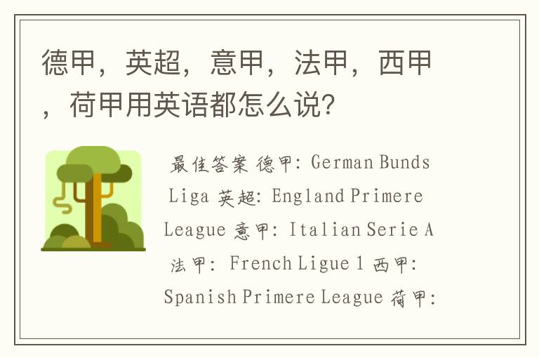 德甲,英超,意甲,法甲,西甲,荷甲用英语都怎么说?