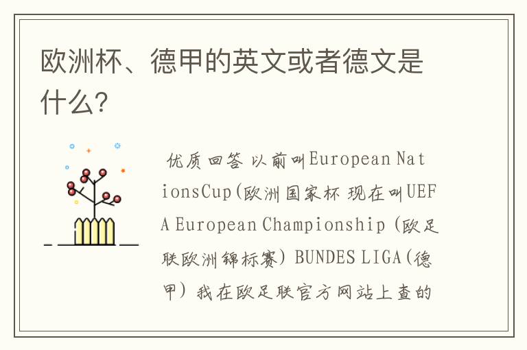 欧洲杯、德甲的英文或者德文是什么?