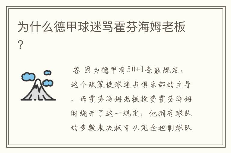 为什么德甲球迷骂霍芬海姆老板?