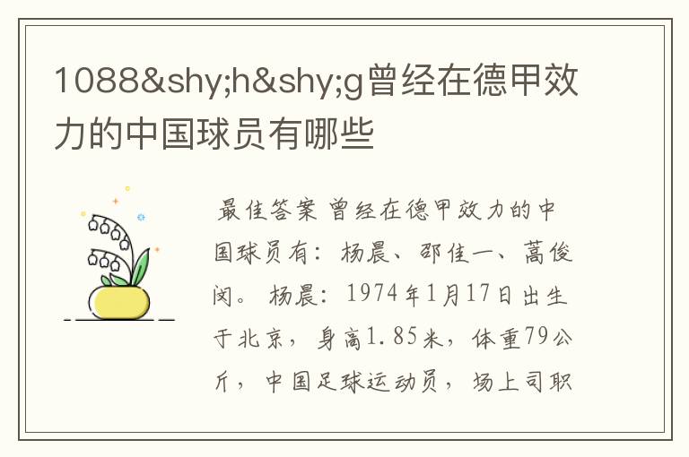 1088hg曾经在德甲效力的中国球员有哪些
