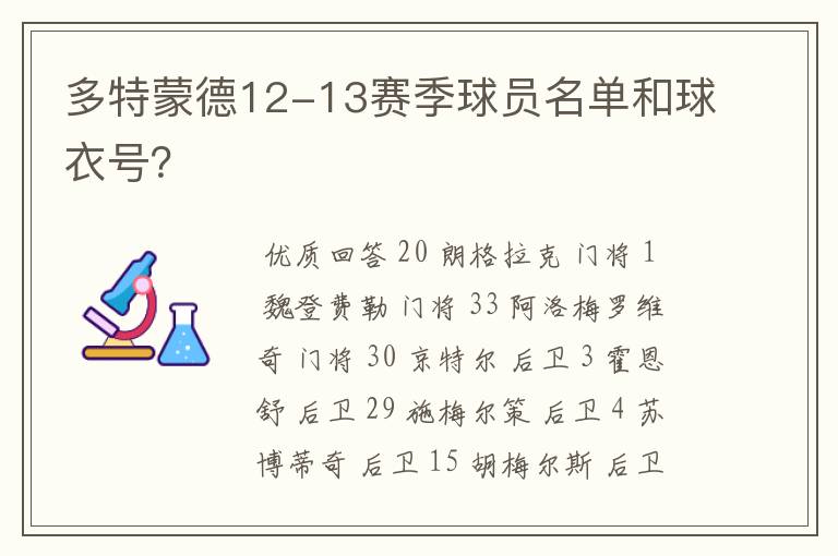 多特蒙德12-13赛季球员名单和球衣号?