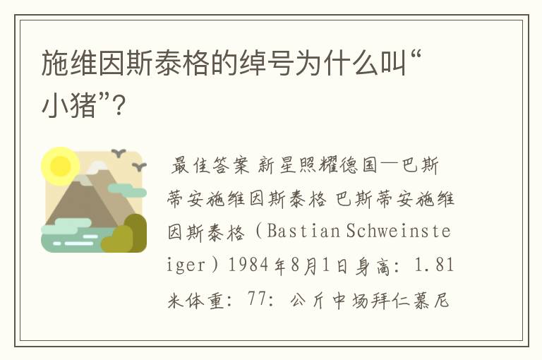 施维因斯泰格的绰号为什么叫“小猪”?