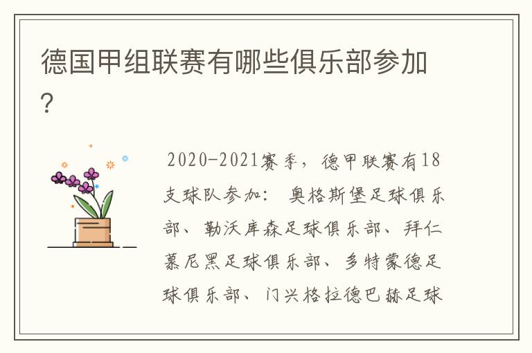 德国甲组联赛有哪些俱乐部参加?