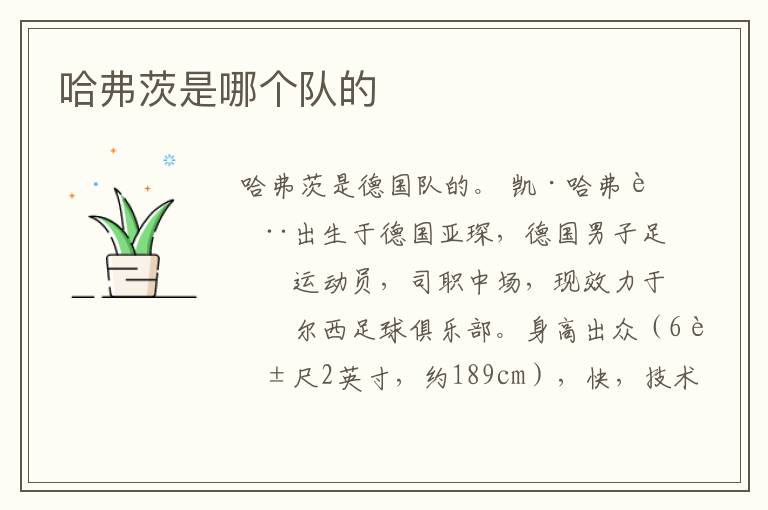 哈弗茨是哪个队的