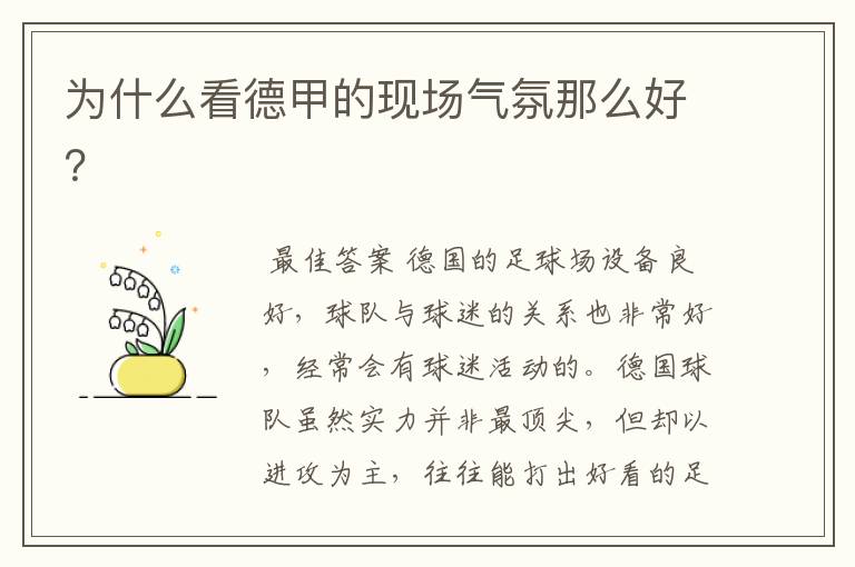 为什么看德甲的现场气氛那么好?