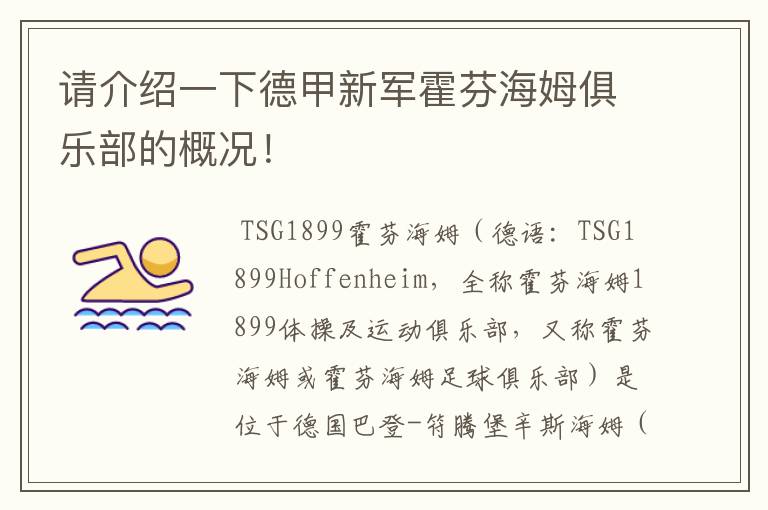 请介绍一下德甲新军霍芬海姆俱乐部的概况!