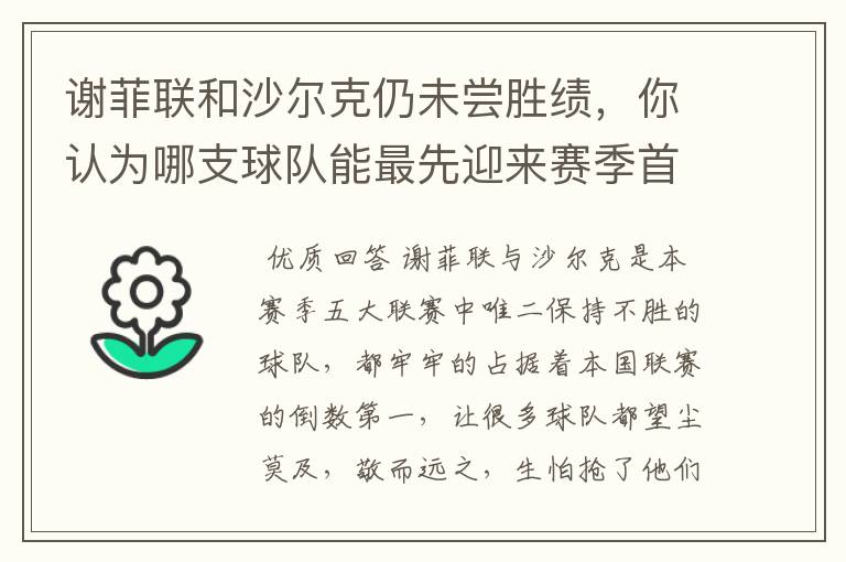 谢菲联和沙尔克仍未尝胜绩,你认为哪支球队能最先迎来赛季首胜?