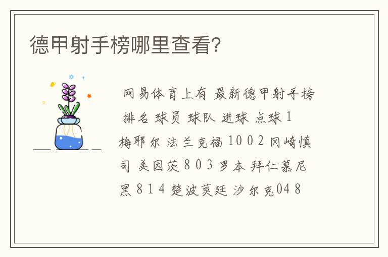 德甲射手榜哪里查看?