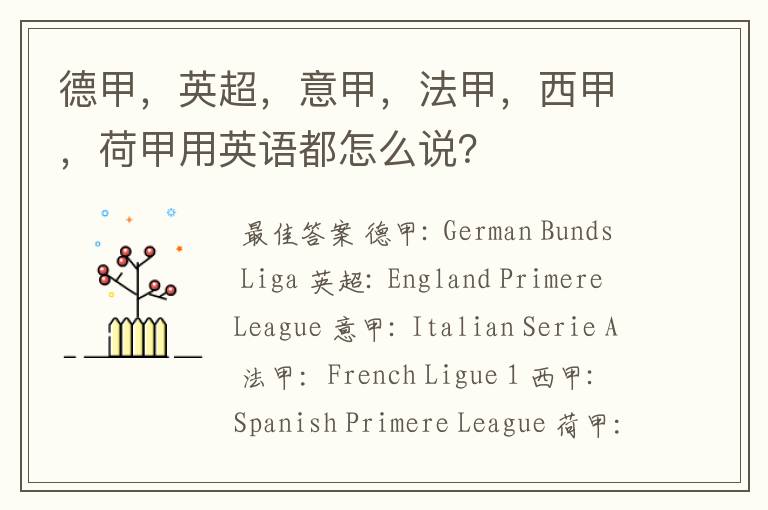 德甲,英超,意甲,法甲,西甲,荷甲用英语都怎么说?