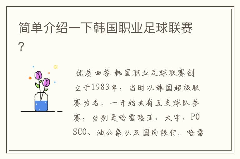 简单介绍一下韩国职业足球联赛?