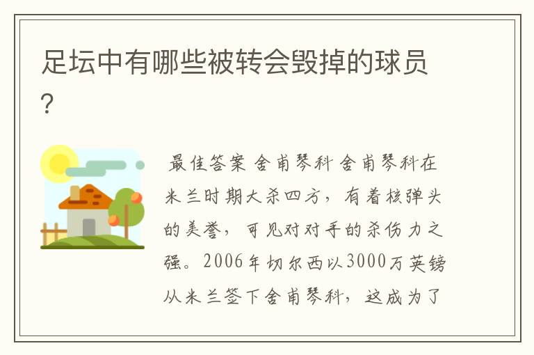 足坛中有哪些被转会毁掉的球员?