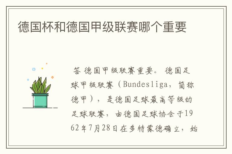 德国杯和德国甲级联赛哪个重要