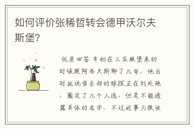 如何评价张稀哲转会德甲沃尔夫斯堡?