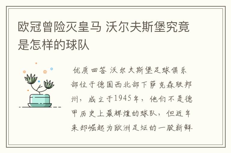 欧冠曾险灭皇马 沃尔夫斯堡究竟是怎样的球队