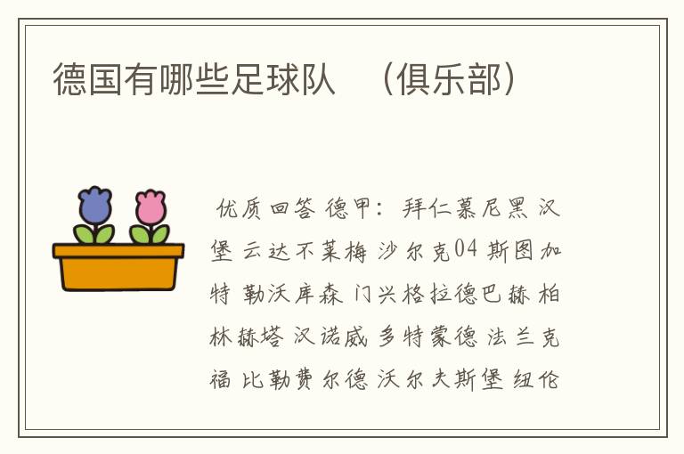德国有哪些足球队 (俱乐部)